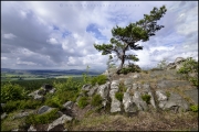 2015_06_20_weiser_Stein_Jonsdorf.jpg