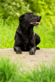 _J2A7096-Bearbeitet.jpg