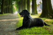 _J2A7332-Bearbeitet.jpg