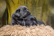 _J2A8196-Bearbeitet.jpg