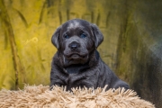 _J2A8207-Bearbeitet_a.jpg